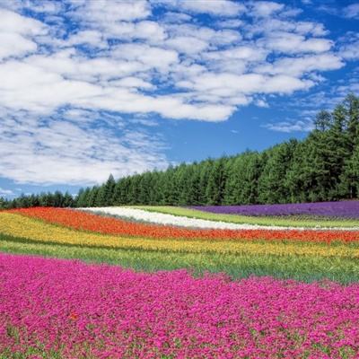 浙江省政府领导班子有调整